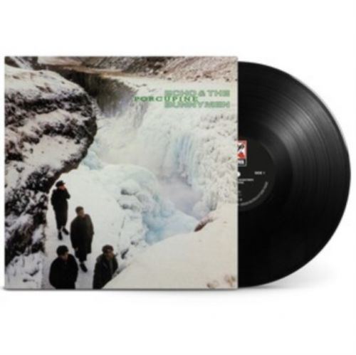 Porcupine (Vinyl / 12