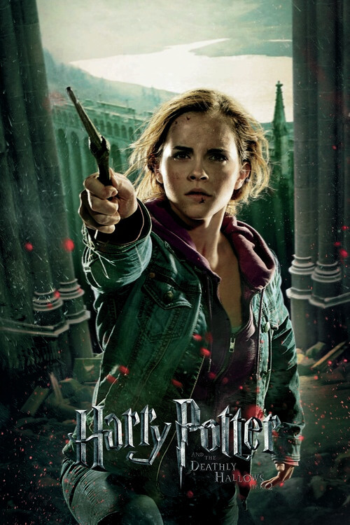 POSTERS Umělecký tisk Harry Potter - Hermione Granger, 26.7 × 40 cm